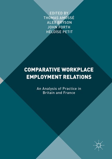 Thomas Amossé, Alex Bryson, John Forth, Héloïse Petit - Comparative Workplace Employment Relations, Inbunden