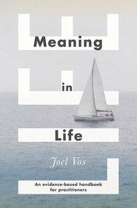 bokomslag Meaning in Life