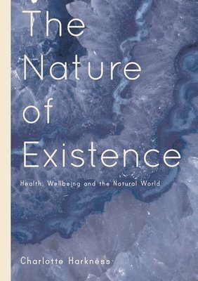 The Nature of Existence 1