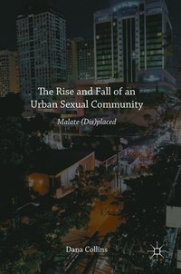 bokomslag The Rise and Fall of an Urban Sexual Community