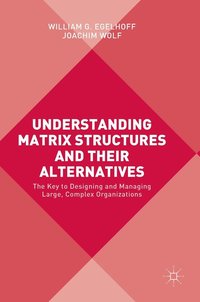 bokomslag Understanding Matrix Structures and their Alternatives