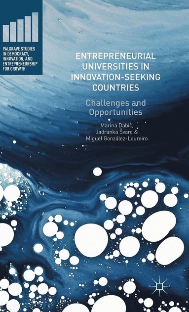 bokomslag Entrepreneurial Universities in Innovation-Seeking Countries