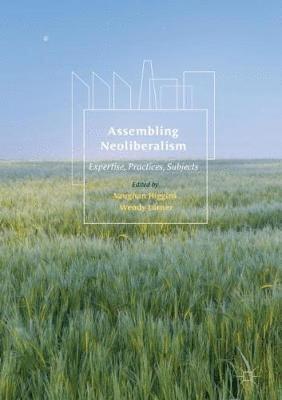 bokomslag Assembling Neoliberalism