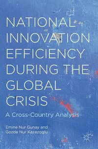 bokomslag National Innovation Efficiency During the Global Crisis