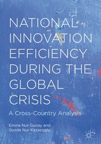 bokomslag National Innovation Efficiency During the Global Crisis