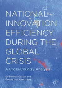 bokomslag National Innovation Efficiency During the Global Crisis