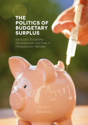 Politics of Budgetary Surplus 1