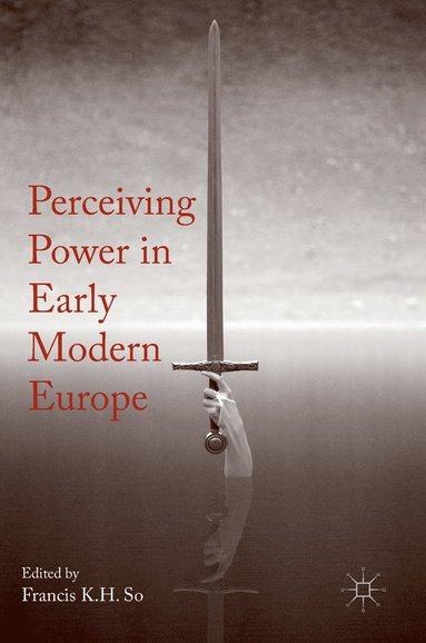 bokomslag Perceiving Power in Early Modern Europe