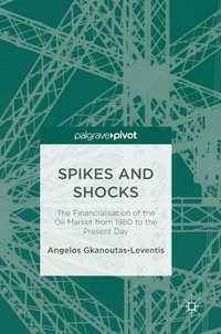 bokomslag Spikes and Shocks