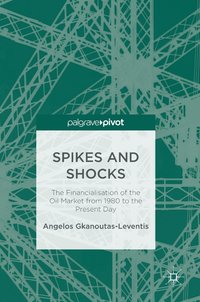 bokomslag Spikes and Shocks