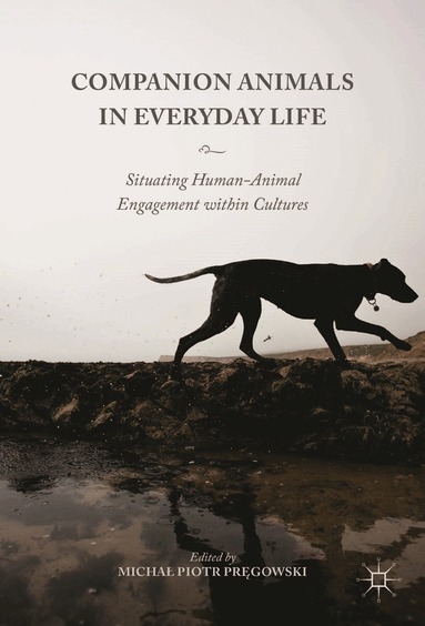 Michał Piotr Pręgowski - Companion Animals in Everyday Life, Inbunden