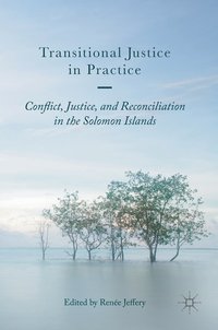 bokomslag Transitional Justice in Practice