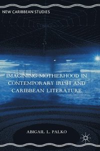 bokomslag Imagining Motherhood in Contemporary Irish and Caribbean Literature