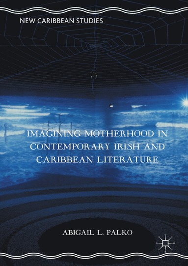 bokomslag Imagining Motherhood in Contemporary Irish and Caribbean Literature