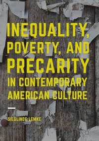 bokomslag Inequality, Poverty and Precarity in Contemporary American Culture