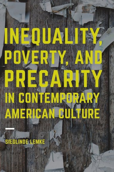 bokomslag Inequality, Poverty and Precarity in Contemporary American Culture