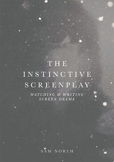 bokomslag Instinctive Screenplay