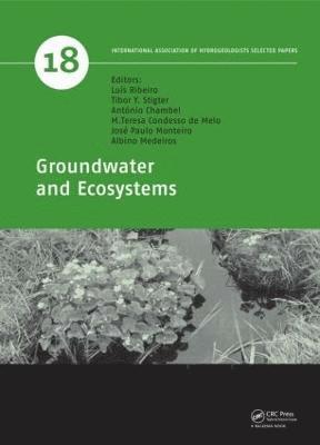 bokomslag Groundwater and Ecosystems