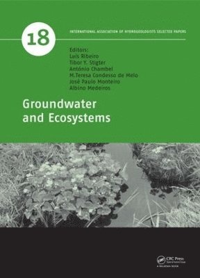 Luis Ribeiro, Tibor Y. Stigter, Antonio Chambel, M. Teresa Condesso de Melo, Jose Paulo Monteiro, Albino Medeiros - Groundwater and Ecosystems, Inbunden