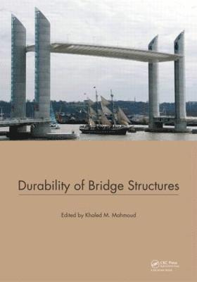 Durability of Bridge Structures 1