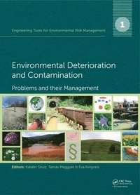 bokomslag Engineering Tools for Environmental Risk Management