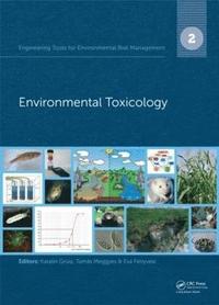 bokomslag Engineering Tools for Environmental Risk Management