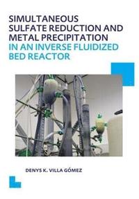 bokomslag Simultaneous Sulfate Reduction and Metal Precipitation in an Inverse Fluidized Bed Reactor