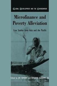 bokomslag Microfinance and Poverty Alleviation