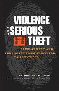 bokomslag Violence and Serious Theft