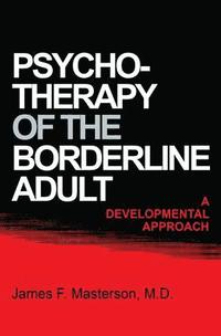 bokomslag Psychotherapy Of The Borderline Adult