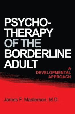 bokomslag Psychotherapy Of The Borderline Adult