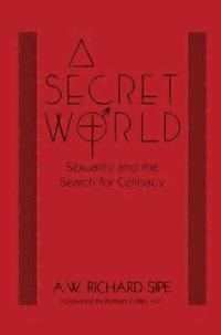 bokomslag A Secret World