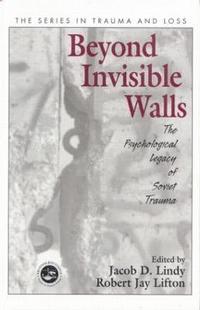 bokomslag Beyond Invisible Walls