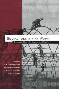 bokomslag Social Identity at Work