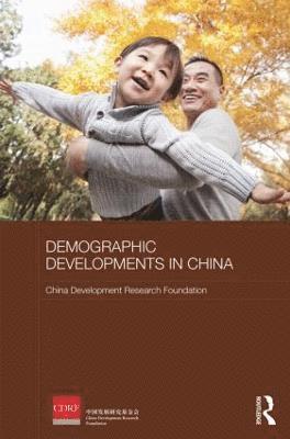 bokomslag Demographic Developments in China