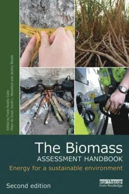 Frank Rosillo-Calle, Peter de Groot, Sarah L. Hemstock, Jeremy Woods, UK) Rosillo-Calle, Frank (Imperial College London, Peter De Groot, Sarah L Hemstock - Biomass Assessment Handbook, Häftad