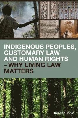 bokomslag Indigenous Peoples, Customary Law and Human Rights - Why Living Law Matters