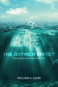 bokomslag The Ostrich Effect
