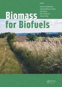 bokomslag Biomass for Biofuels