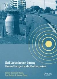bokomslag Soil Liquefaction during Recent Large-Scale Earthquakes