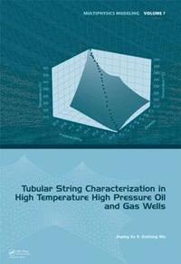 bokomslag Tubular String Characterization in High Temperature High Pressure Oil and Gas Wells