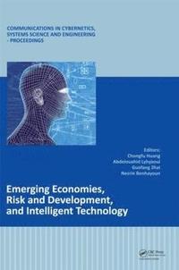bokomslag Emerging Economies, Risk and Development, and Intelligent Technology