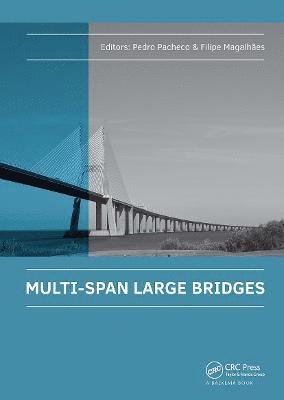 Multi-Span Large Bridges 1