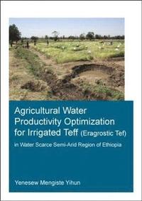 bokomslag Agricultural Water Productivity Optimization for Irrigated Teff (Eragrostic Tef) in a Water Scarce Semi-Arid Region of Ethiopia