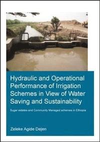 bokomslag Hydraulic and Operational Performance of Irrigation Schemes in View of Water Saving and Sustainability