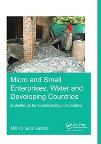 bokomslag Micro and Small Enterprises, Water and Developing Countries