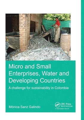 Micro and Small Enterprises, Water and Developing Countries 1