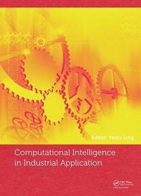 bokomslag Computational Intelligence in Industrial Application