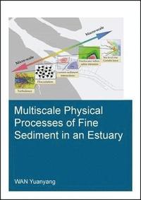 bokomslag Multiscale Physical Processes of Fine Sediment in an Estuary