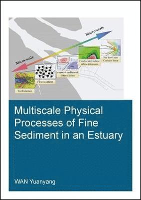 Multiscale Physical Processes of Fine Sediment in an Estuary 1